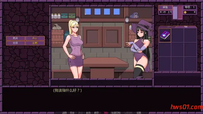 魔法镇(Town of Magic) v0.73.008 汉化版 PC+安卓 沙盒SLG游戏 978M