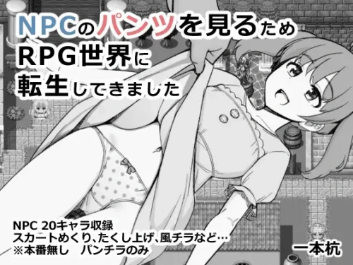 为了目睹NPC胖次而转生到RPG世界的我 NPCのパンツを見るためRPG世界に転生してきました AI汉化版 互动RPG 990M-嗨玩社