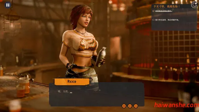 沙漠疯狂的野望 最终章 官方中文版 SLG游戏 1.9G