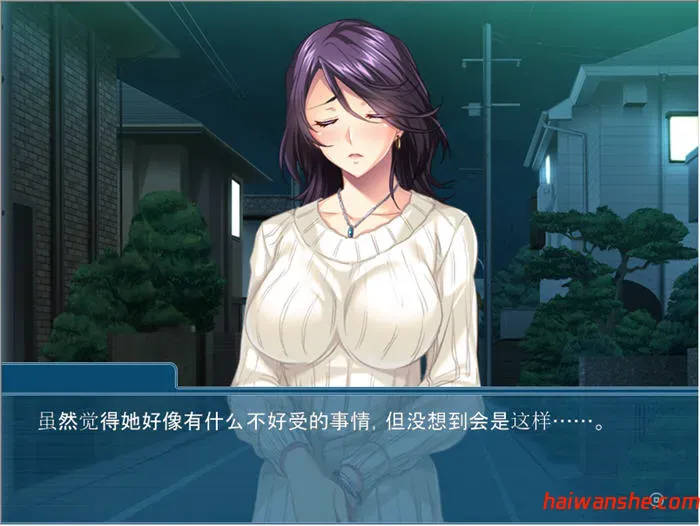 夺回属于我的一切 v1.0 AI汉化版 ADV游戏+全CG存档 500M